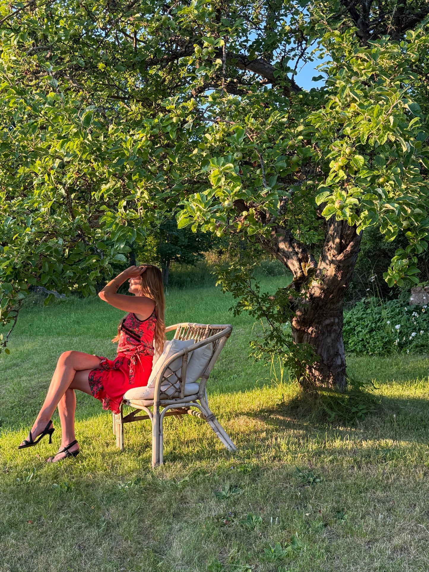 LEKSAND RED